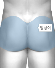 인체 엉덩이 부분